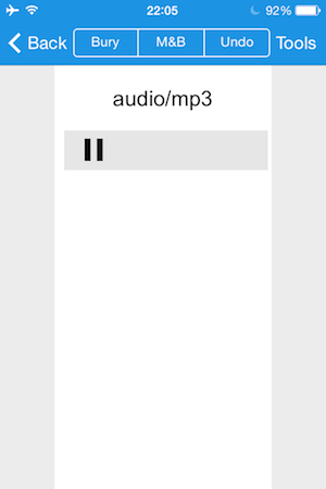 HTML5 Audio を iPhone 上で表示